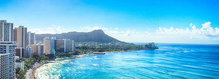 株式会社かもめ＆アールスドリーム（株式会社かもめの１００％子会社）